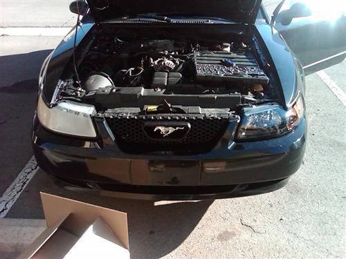 2001-04 Mustang Factory Tinted Headlight Kit