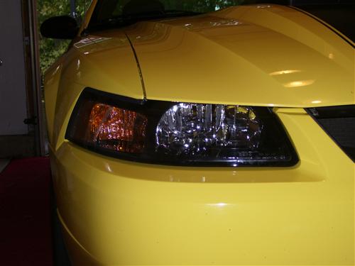 2001-04 Mustang Factory Tinted Headlight Kit