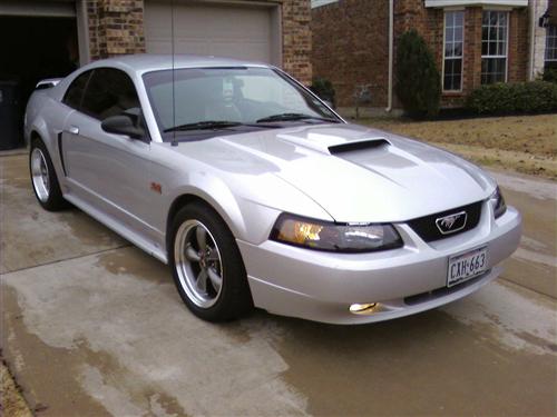 2001-04 Mustang Factory Tinted Headlight Kit