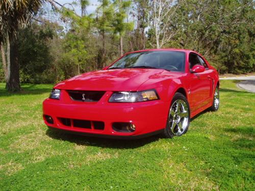 2001-04 Mustang Factory Tinted Headlight Kit