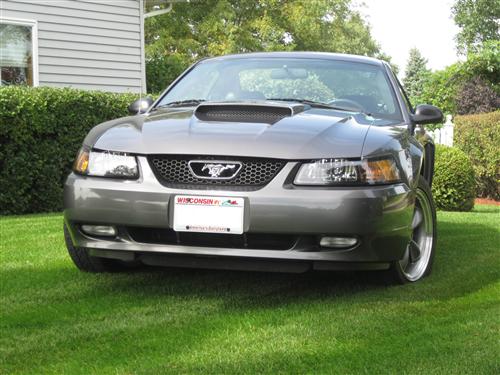 2001-04 Mustang Factory Tinted Headlight Kit