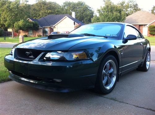 2001-04 Mustang Factory Tinted Headlight Kit