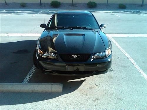 2001-04 Mustang Factory Tinted Headlight Kit