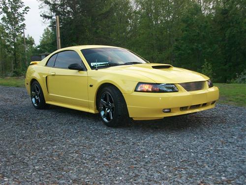 2001-04 Mustang Factory Tinted Headlight Kit