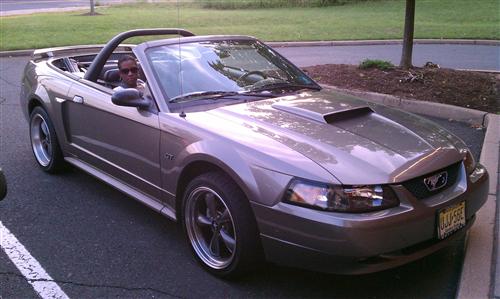 2001-04 Mustang Factory Tinted Headlight Kit