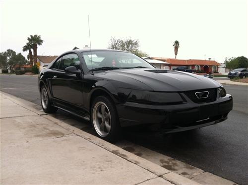 Mustang SVE Smoked Headlight & Tail Light Cover Kit (99-04)