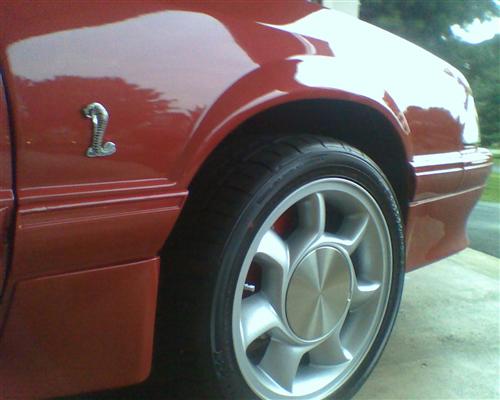 1979-04 Mustang Cobra Fender Emblem Kit