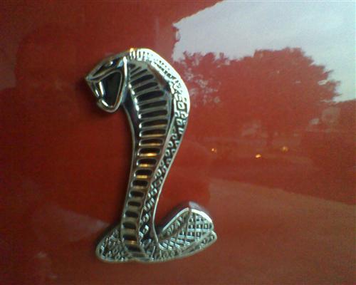 1979-04 Mustang Cobra Fender Emblem Kit