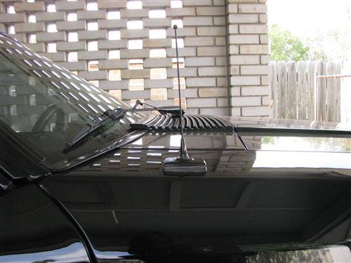 1979-09 Mustang SVE Black 8" Shorty Antenna Mast
