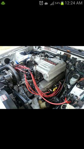1979-95 Mustang 5.0L 302 Economy Short Block, Accepts Roller Cam
