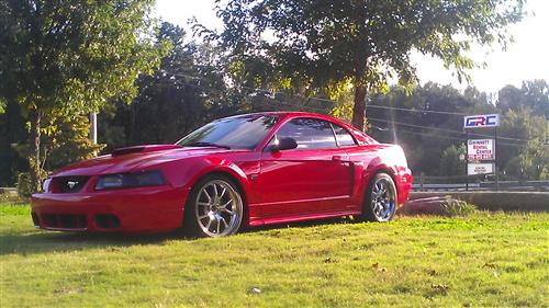 Mustang Cobra Front Bumper Cover (03-04)