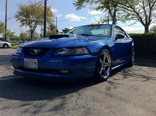 Mustang Mach 1 Chin Shpoiler (99-04)